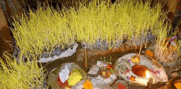 मकवानपुरमा फूलपाती भित्र्याउने पर्व स्थगन